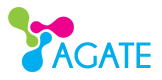 Agatesolution Information Technology Logo